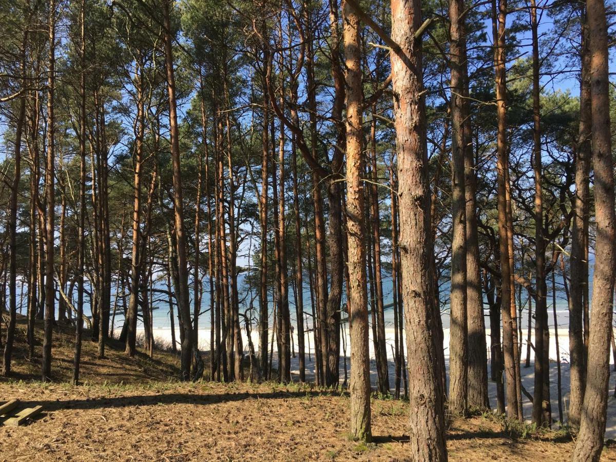 Domki Magnolia Dzwirzyno Bagian luar foto