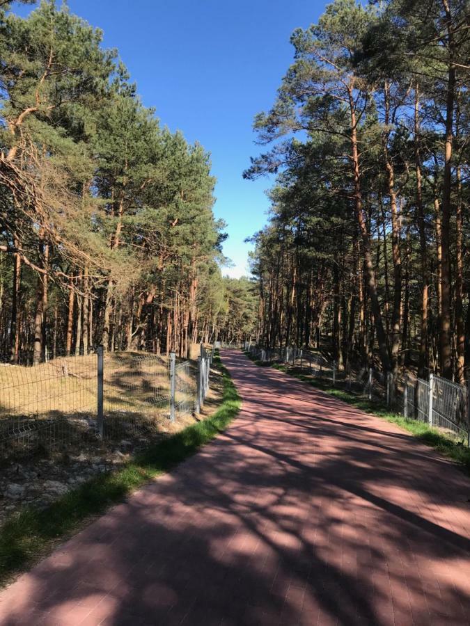 Domki Magnolia Dzwirzyno Bagian luar foto